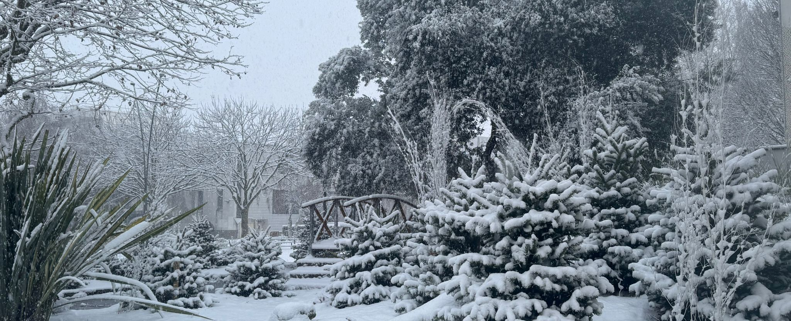 Hiver 2026 au Blanc-Mesnil © Manon Photopoulos