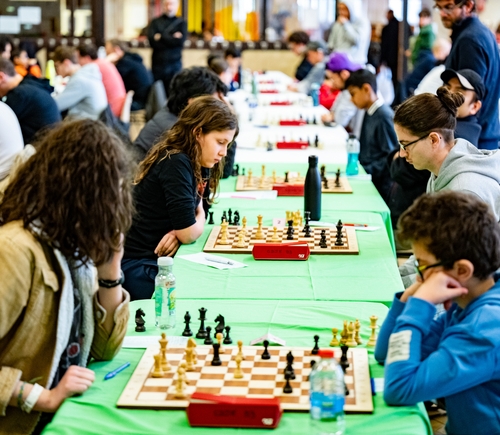 Championnat d'échecs  © Paul Audibert