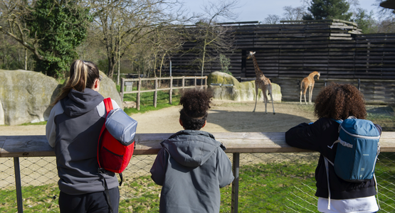 parc zoologique de Paris © Sébastien Champeaux