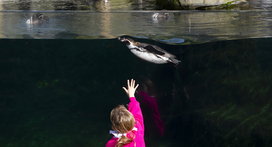 parc zoologique de Paris © Sébastien Champeaux