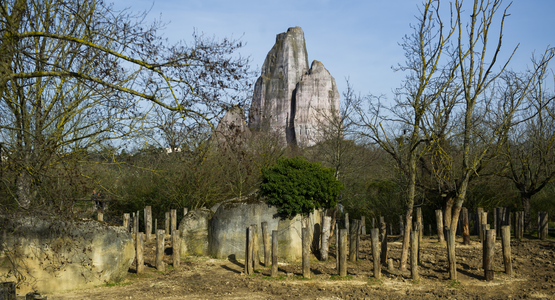 parc zoologique de paris ©Sébastien Champeaux