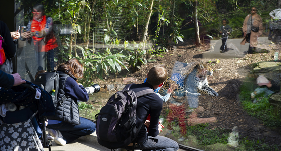 parc zoologique de Paris © Sébastien Champeaux