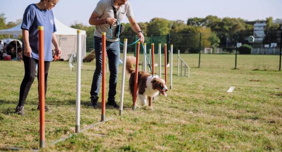 Ateliers d’initiation sportive avec Animal Moves. 