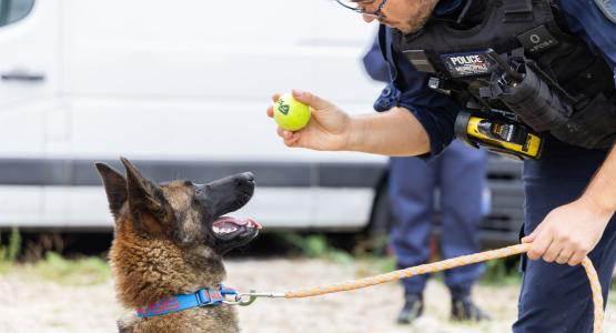 Sookie s’est montrée rassurée et sociable à l’égard des policiers après avoir été libérée.