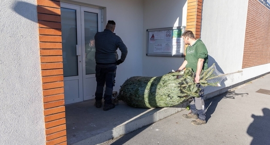 L’école maternelle Robert-Planquette se prépare aux fêtes de fin d’année.