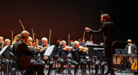 Concert du Nouvel An © Vincent Coutin