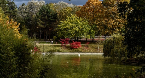 parc-automne-19102016-003.jpg