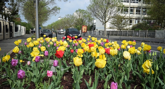 ville-fleurie.jpg