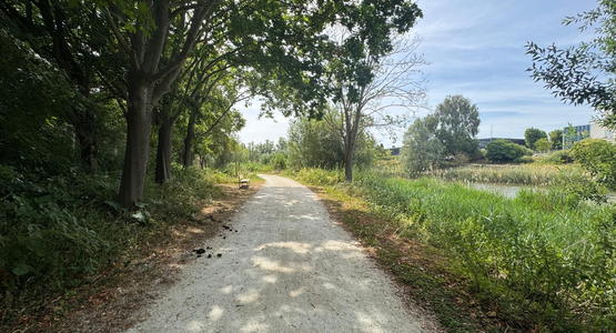 Parc des bassins du Pont-Yblon © Manon Photopoulos