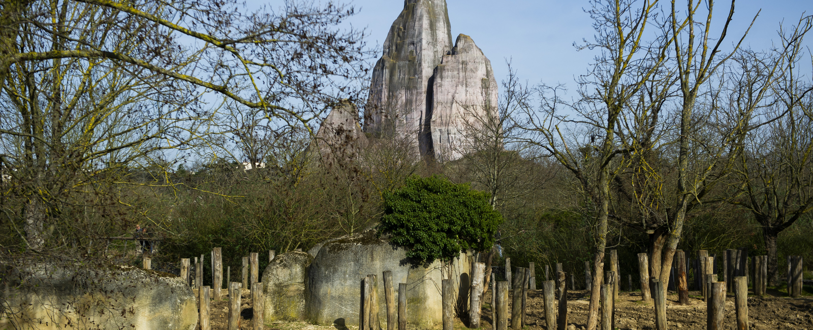 parc zoologique de paris ©Sébastien Champeaux