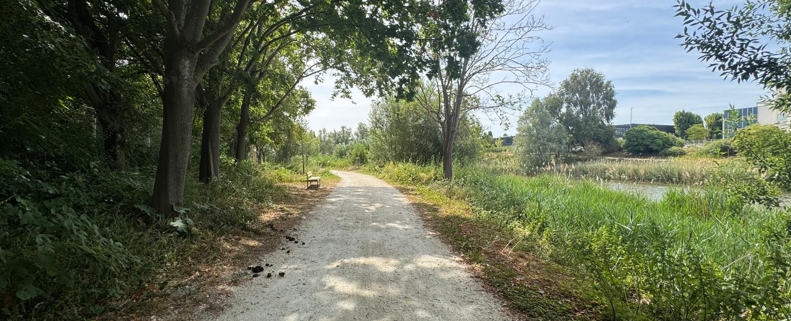 Parc des bassins du Pont-Yblon © Manon Photopoulos