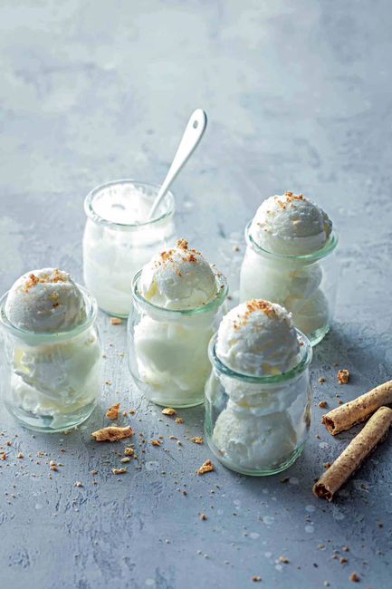 Sorbet au yaourt