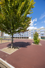 Végétalisation et aménagement de deux cours de récréation pendant l’été dans le groupe scolaire Jacques-Decour.